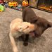 Andy Schneider - Facebook