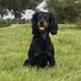 Andrew Schofield - Facebook