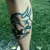 Andy Schulz - @andy.schulz32 - TikTok
