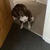 Andy Searle - @andy.searle7 - TikTok