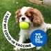 Andrew Seeger - Facebook