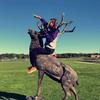 Andy Shaffer883 - @andyshaffer2 - TikTok
