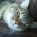 Andy Shank - Facebook