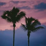 Andy Shanks - @andy.shanks.5 - Instagram