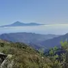Andy Shannon - @andy.shannon0 - TikTok