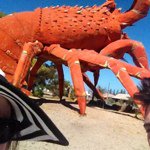 Andy Shearer-McBride - @andy_shr_mcbr - Instagram