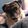 Andy.sherman - @andy.sherman - TikTok