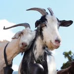 Andy Sherrill - @sherrillandy - Instagram