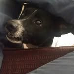Andy Shultz - @shultzandy - Instagram