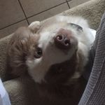 Andy Shultz - @shultzy99 - Instagram