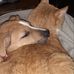 Andy Shultz - Facebook