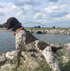 Andy Sims - Facebook