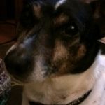 Andy Smart - @andysmart6262 - Instagram