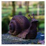 Andy Smart - @andy_smart_garden_photography - Instagram