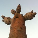 Andy Smart - @smartsnappers - Instagram