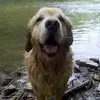 Andy Solomon - @andy.solomon2 - TikTok
