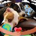 Andy Southwick - Facebook