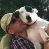 Andy Stamp - @andy.stamp - TikTok