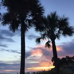 Andy Steele - @andy.steele2016 - Instagram