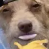 Andy Stefano - @andy.stefano5 - TikTok