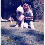 Andy Sternberg - @andysternberg_ - Instagram