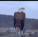 Andy Stotler - Facebook