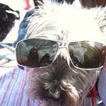 Andy Stott - @stott.andy - Instagram