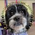 Andy Stovall - Facebook