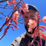 Andrew Stover - @wineanddragons - Instagram