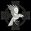 andystow781 - @andystow781 - TikTok