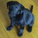 Andy Strain - @strainandy - Instagram