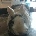 Andystrain - @strain.boi21 - Instagram