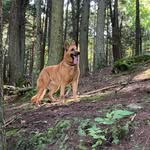 Andystraiton327 - @andystraiton - Instagram