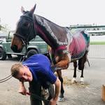 Andy Stringer - @peakstones_farriers - Instagram