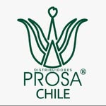 andrea strobel - @prosa.chile - Instagram