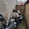 Andy Strong - @andystrong0 - TikTok