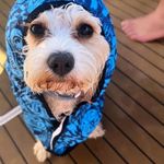 Andy Strong - @strong_andy - Instagram