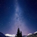 Pepper andy blake stuber - @zepetolover58 - Instagram