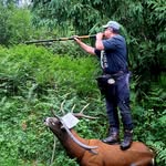 Andy Stückl - @andy_stuckl - Instagram