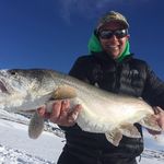 Andy Stutz - @andy.stutz.54 - Instagram