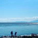 Andy Suen - @aaasuen - Instagram