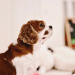 Andy Suzuki - @andysuzuki - Instagram