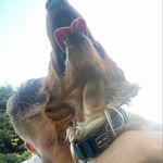Adam Svěch - @andysvech - Instagram