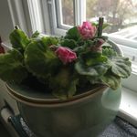 Andy Swanson - @swanson.andy - Instagram