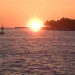 Andy Swartz - @swarad11 - Instagram