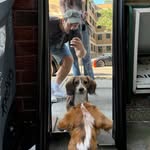 Andy Swartz - @andy_swartz - Instagram