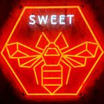 Andy Sweet | Art | Science | Entomology | Tech - @sweet_apiaries - Instagram