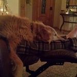 Andy Swenson - @andy.swenson.148 - Instagram