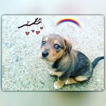 andy sydow - @sydowandy - Instagram