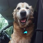 Andy Symonds - @ghostamrrider - Instagram